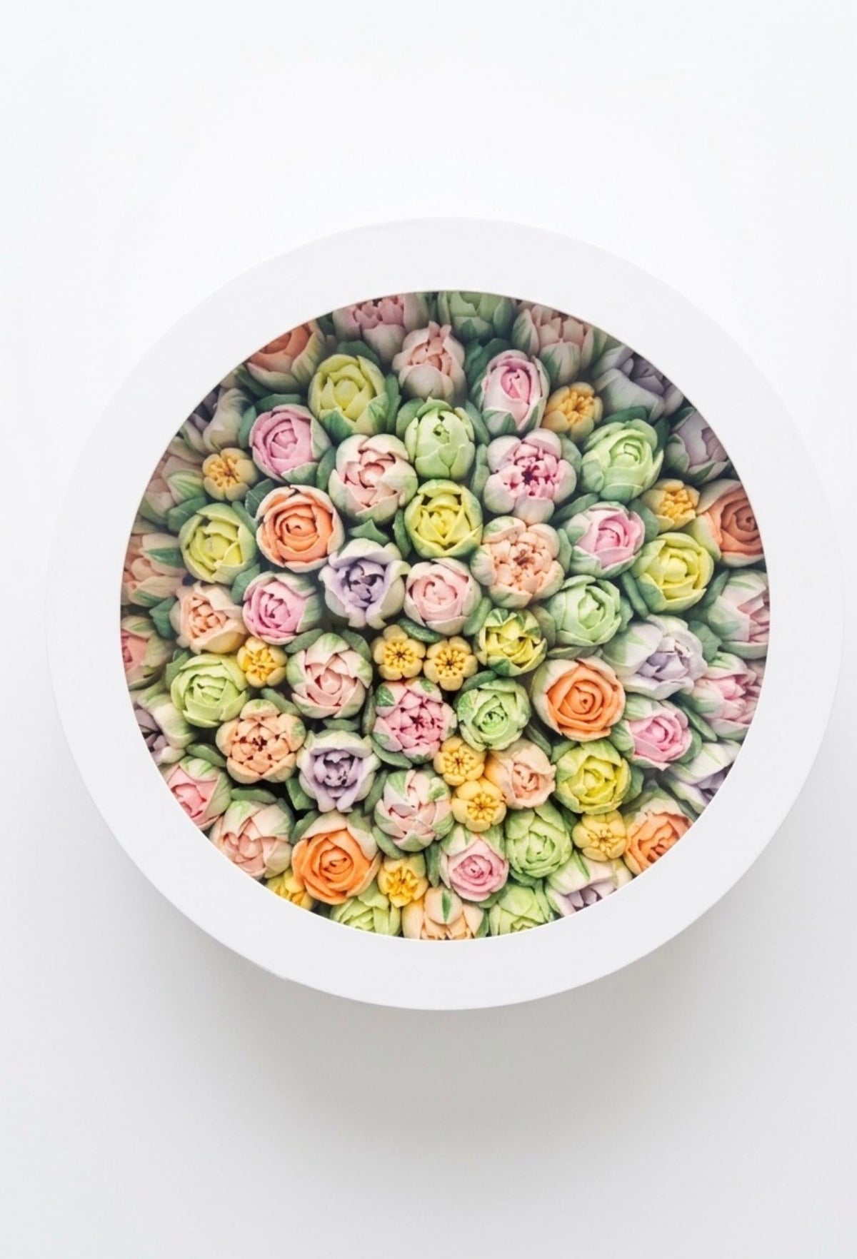 L size premium round box
