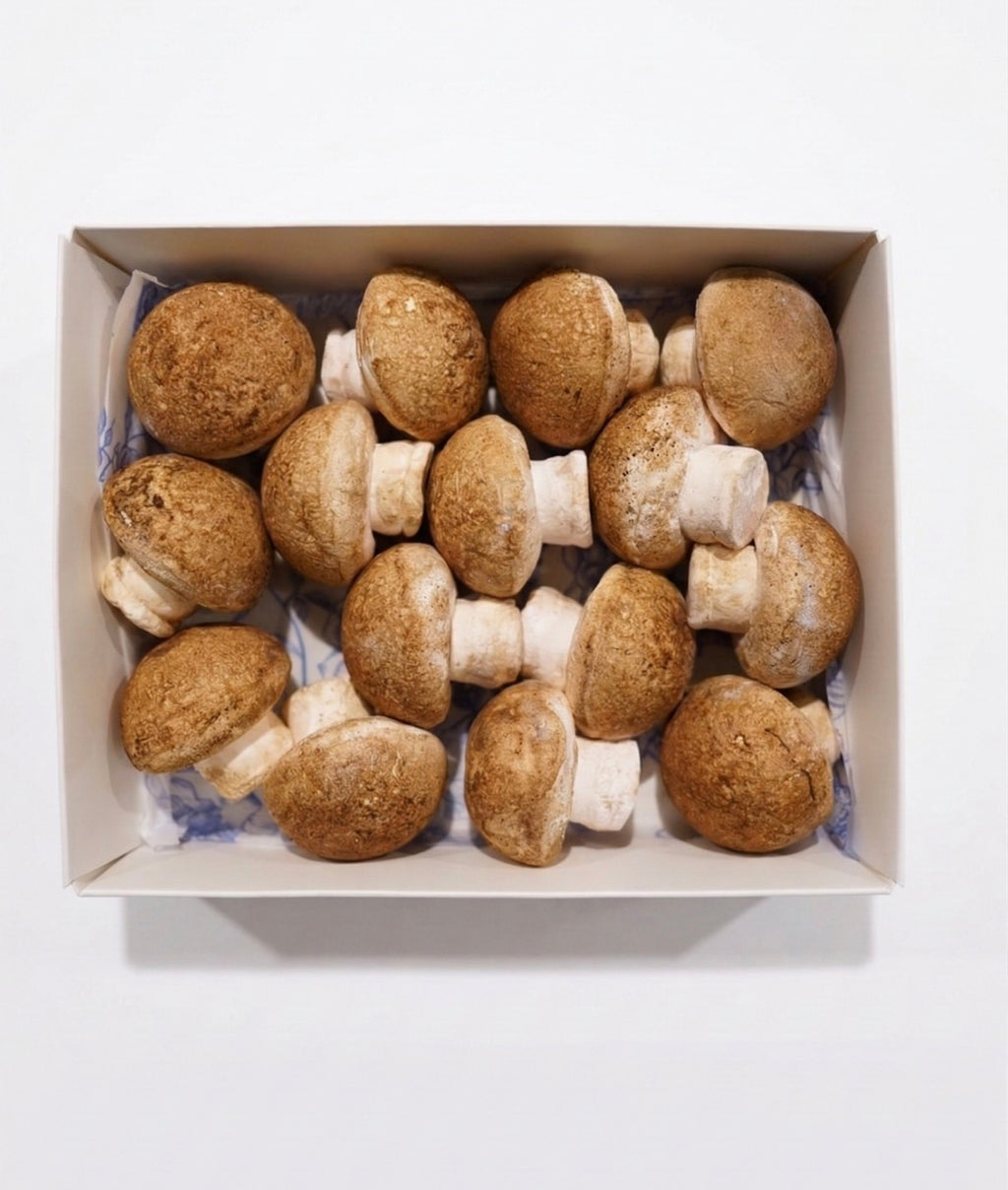 Marshmallow mushrooms