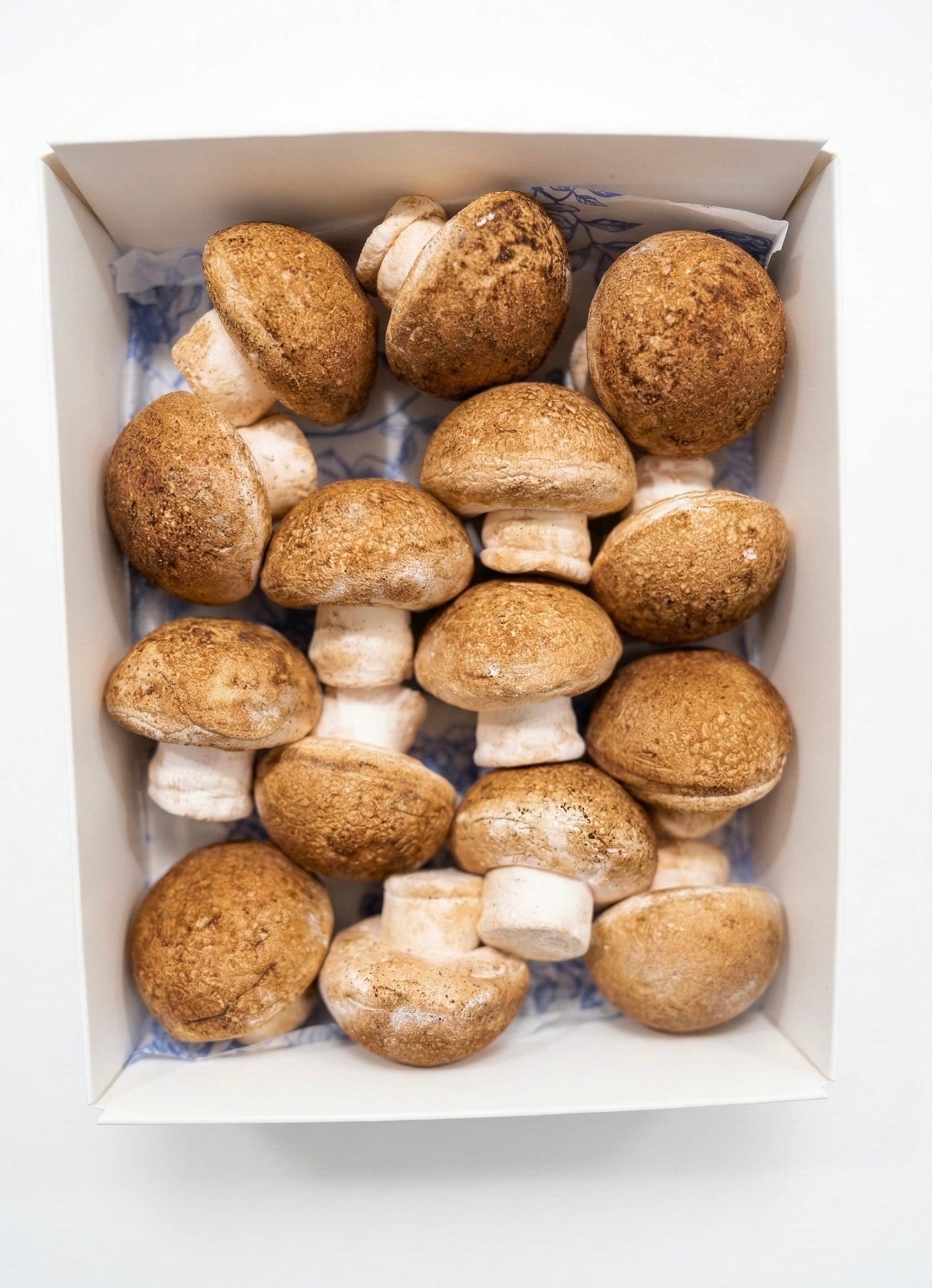 Marshmallow mushrooms