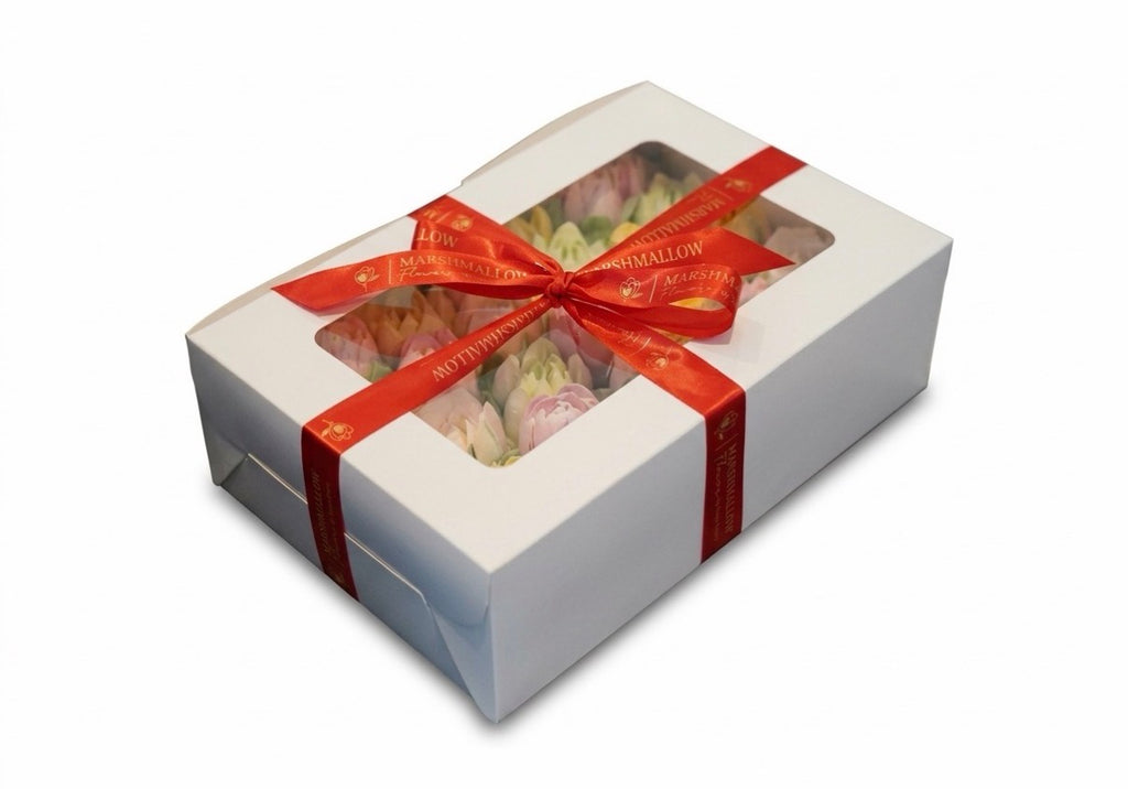 L size classic box