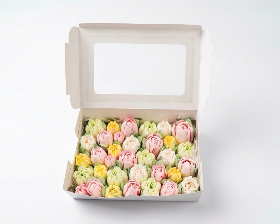 L size classic box