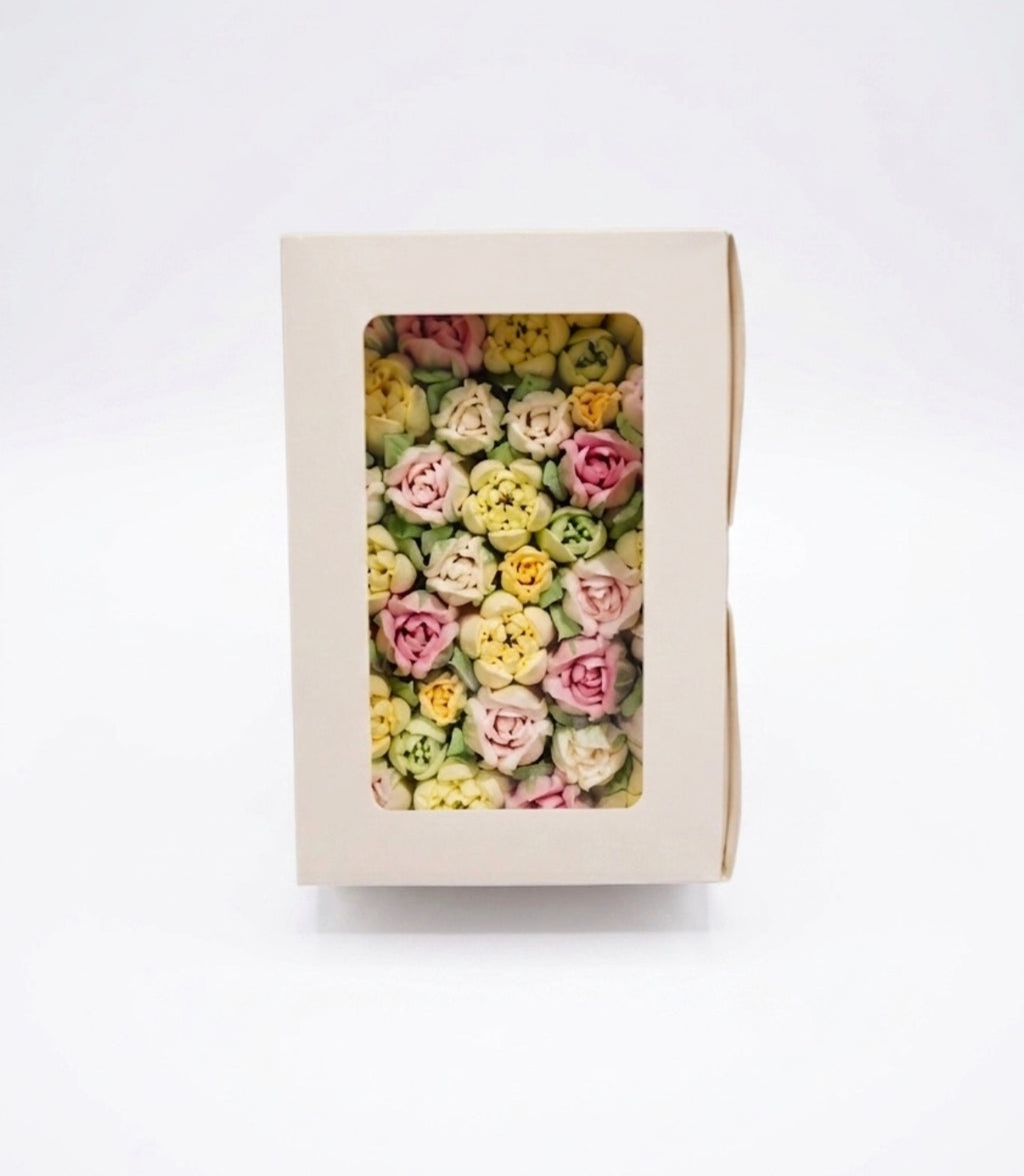 L size classic box